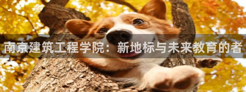 顺盈娱乐平台官网电话