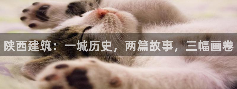 顺盈娱乐招商下原判官333OO