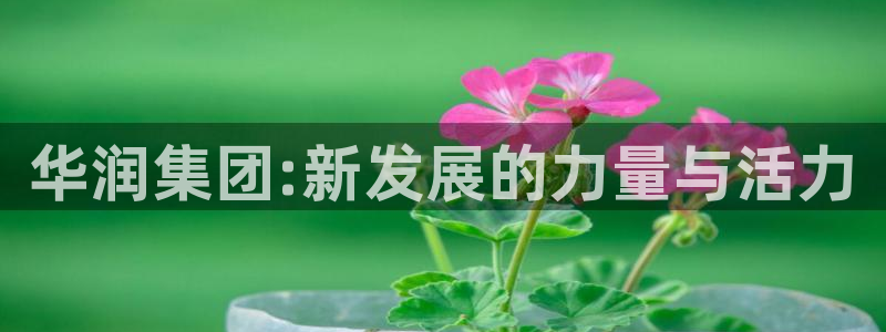 顺盈娱乐下载官网