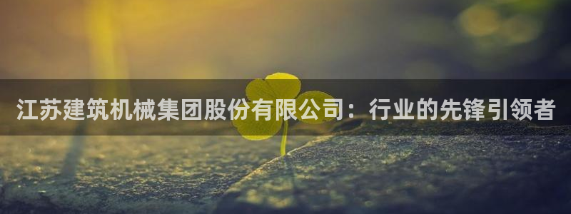 顺盈娱乐 炤企鹅779O3