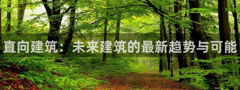 清远顺盈娱乐公司