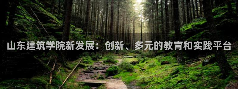 顺盈娱乐彩票官网：山东建筑学院新发展：创新、多元的教育和实践平台