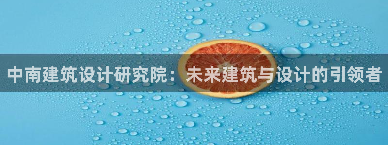 顺盈娱乐主管待判官333OO：中南建筑设计研究院：未来建筑与设计的引领者