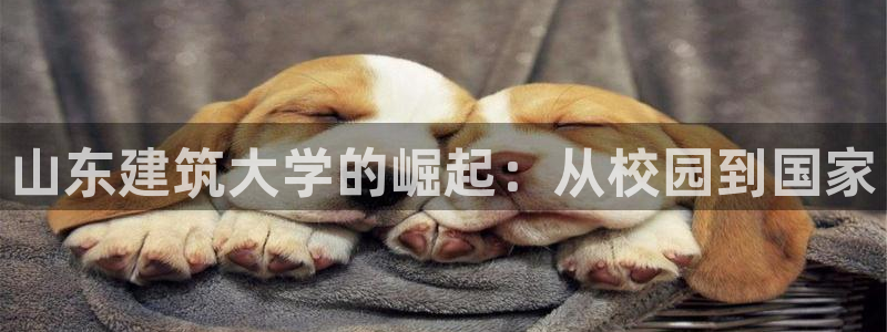 顺盈娱乐主管怎么样：山东建筑大学的崛起：从校园到国家