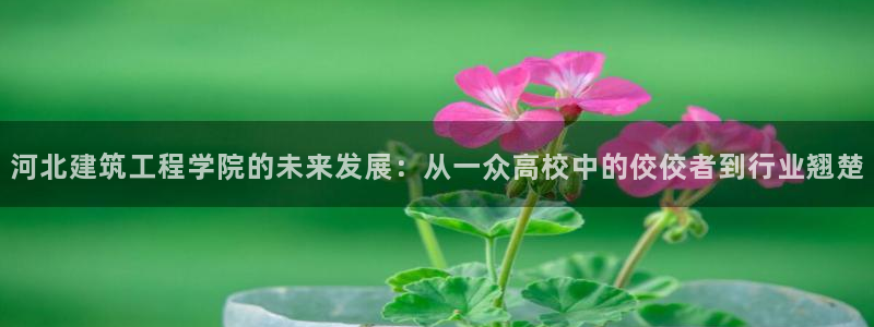 顺盈娱乐登录地址查询