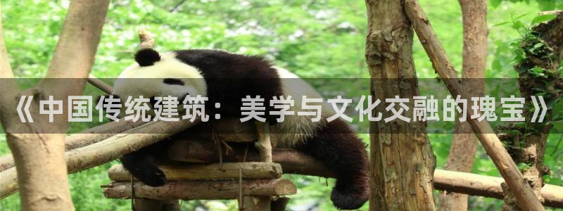 顺盈娱乐主管右原判官333OO