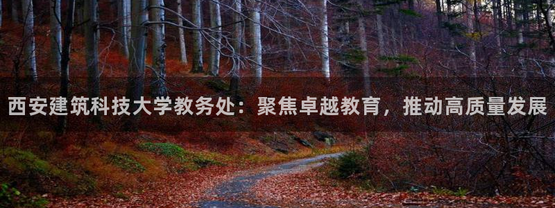 清远顺盈娱乐公司实习：西安建筑科技大学教务处：聚焦卓越教育，推动高质量发展