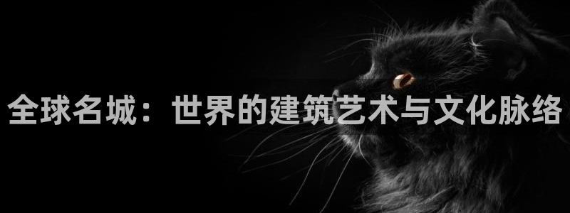 盈顺休闲娱乐室门票：全球名城：世界的建筑艺术与文化脉络