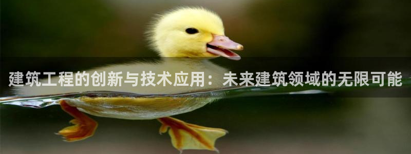 顺盈娱乐棋牌