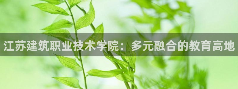顺盈娱乐主管吉判官333OO