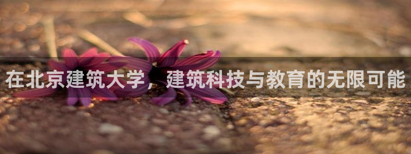 顺盈娱乐招商钱判官333OO：在北京建筑大学，建筑科技与教育的无限可能