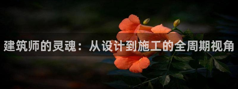盈顺娱乐休闲室电话：建筑师的灵魂：从设计到施工的全周期视角