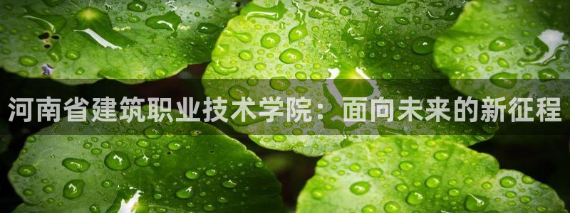 清远顺盈广场娱乐：河南省建筑职业技术学院：面向未来的新征程