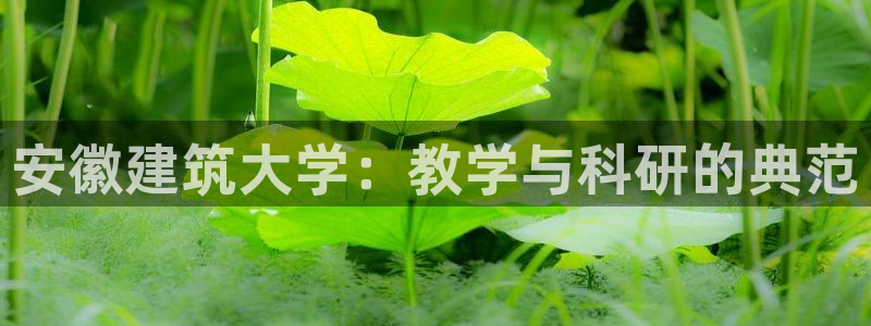 优盈娱乐顺122222：安徽建筑大学：教学与科研的典范
