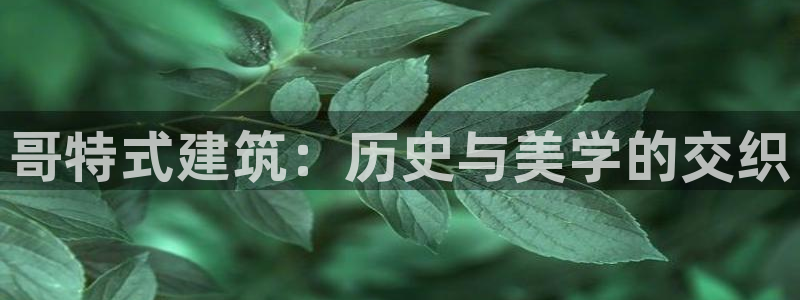 盈顺棋牌娱乐室电话地址：哥特式建筑：历史与美学的交织