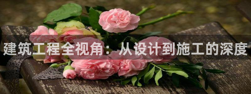 顺盈娱乐广场：建筑工程全视角：从设计到施工的深度