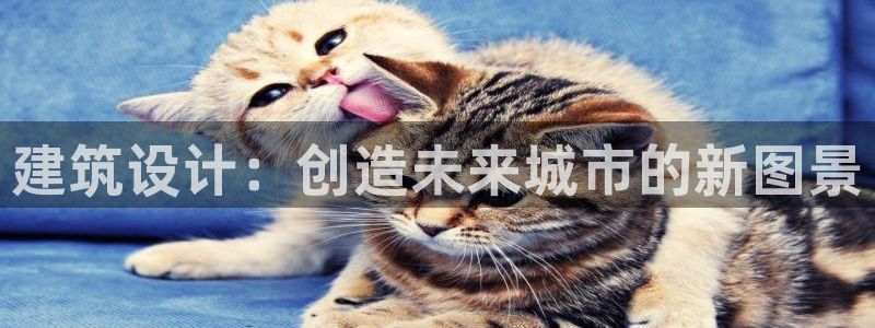清远顺盈娱乐集团地址：建筑设计：创造未来城市的新图景