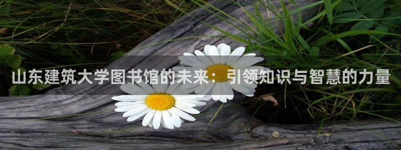 顺盈娱乐解答7276o