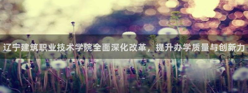 顺盈娱乐平台会黑人吗：辽宁建筑职业技术学院全面深化改革，提升办学质量与创新力