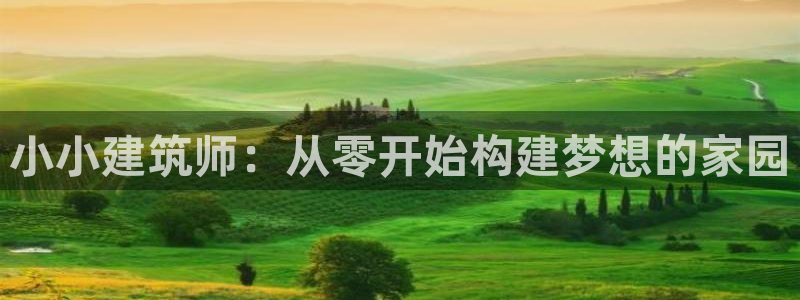 顺盈娱乐代理：小小建筑师：从零开始构建梦想的家园