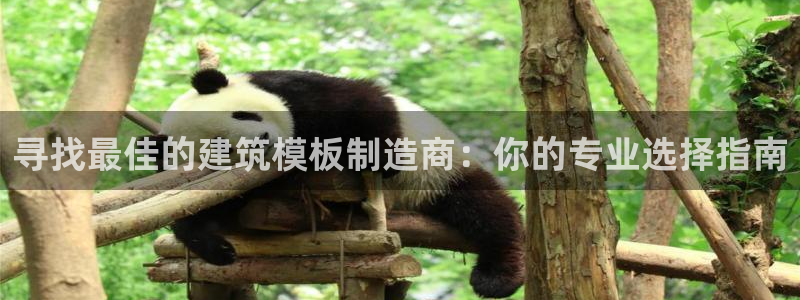 盈顺休闲娱乐室优惠：寻找最佳的建筑模板制造商：你的专业选择指南
