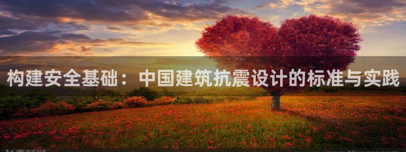 顺盈娱乐地址：构建安全基础：中国建筑抗震设计的标准与实践
