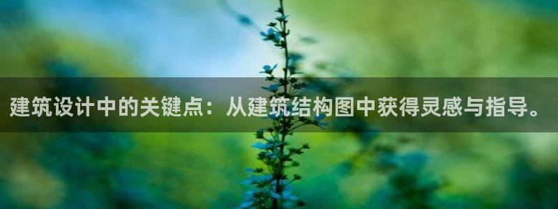顺盈娱乐下载app：建筑设计中的关键点：从建筑结构图中获得灵感与指导。