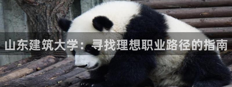 顺盈娱乐棋牌怎么样啊：山东建筑大学：寻找理想职业路径的指南