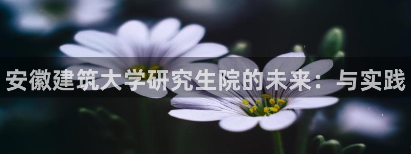 盈顺休闲娱乐室抖音团购：安徽建筑大学研究生院的未来：与实践