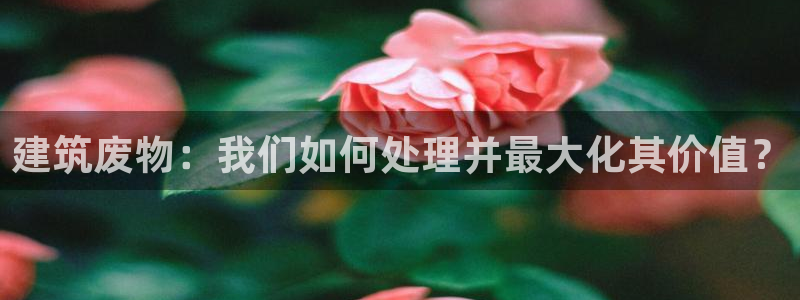 顺盈百威美食娱乐广场：建筑废物：我们如何处理并最大化其价值？