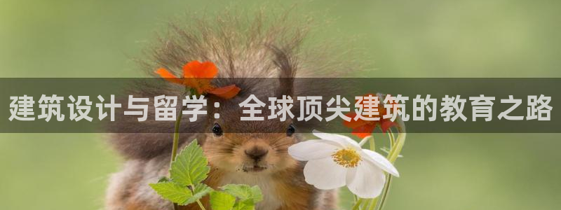 顺盈广场娱乐：建筑设计与留学：全球顶尖建筑的教育之路