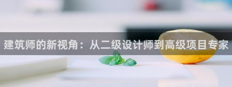 盈顺棋牌娱乐室电话号码：建筑师的新视角：从二级设计师到高级项目专家