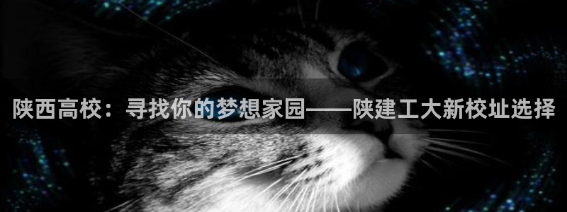 顺盈娱乐注册平台是什么：陕西高校：寻找你的梦想家园——陕建工大新校址选择
