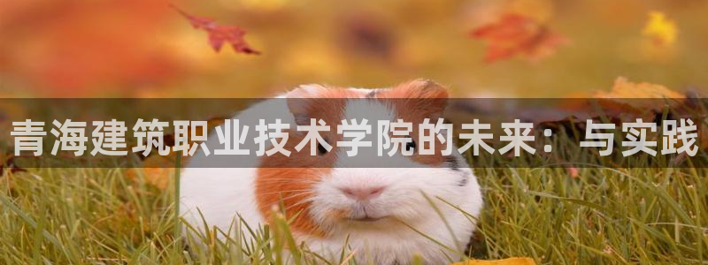 顺盈娱乐口究7276O