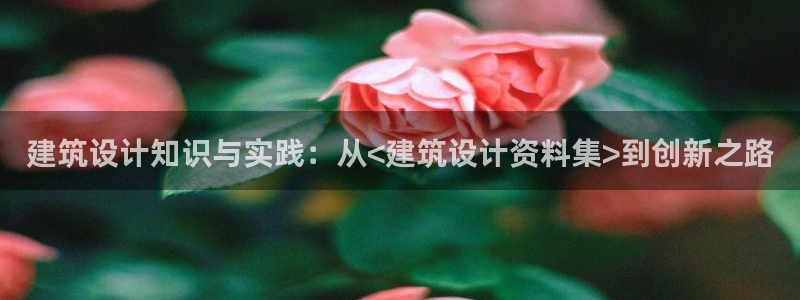 顺盈娱乐招商后原判官333OO