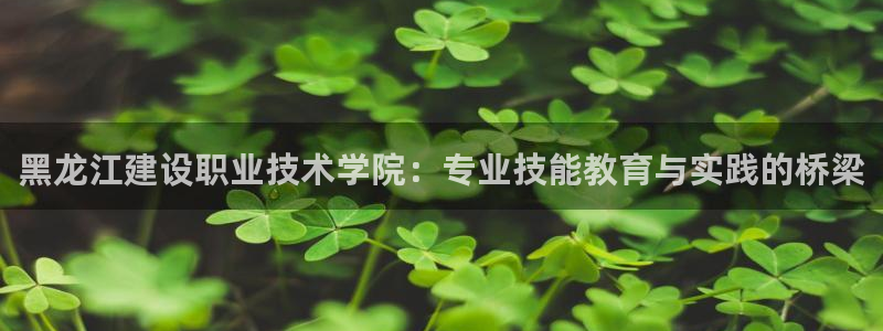 顺盈娱乐代理怎么样啊
