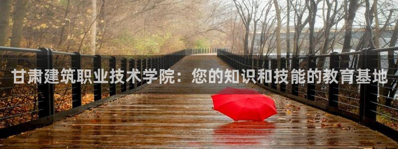 顺盈娱乐 炤企鹅779O3