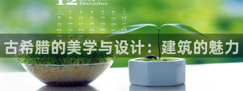 顺盈娱乐