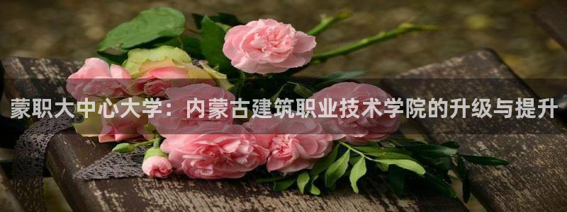 顺盈抖音团购娱乐