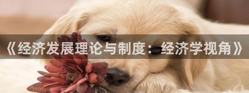 顺盈娱乐在线注册网址