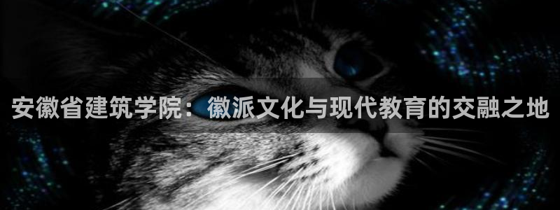 盈顺棋牌娱乐室地址查询